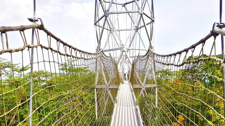 The canopy walkway at Lekki Conservation Centre